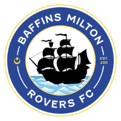 巴芬斯米尔顿流浪者